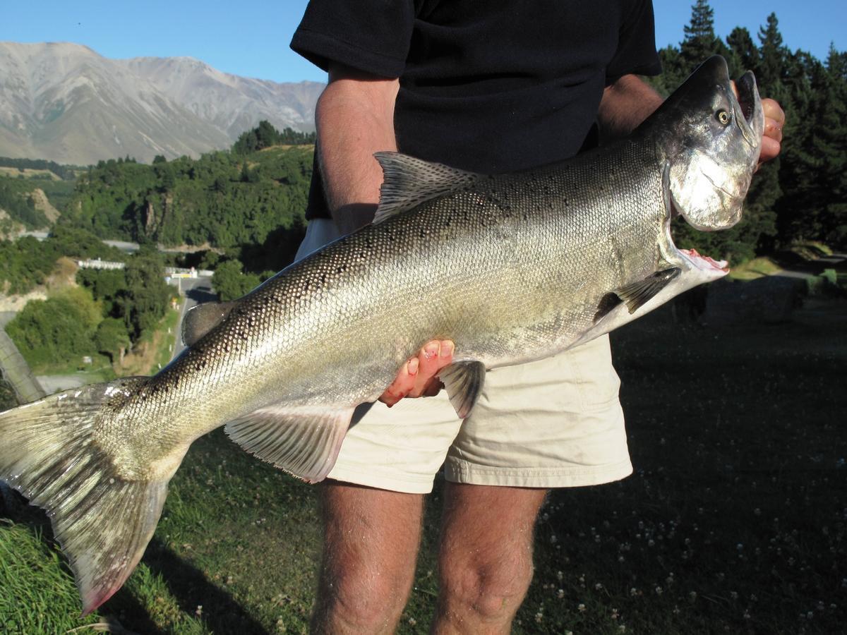 Mt Hutt Lodge Windwhistle Екстериор снимка